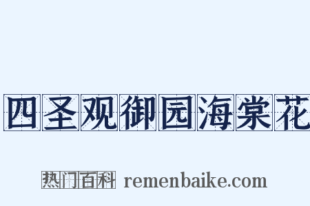 四圣观御园海棠花是什么意思的图片